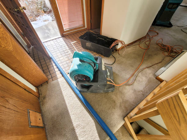 Best Water damage restoration company  in Morris, MN