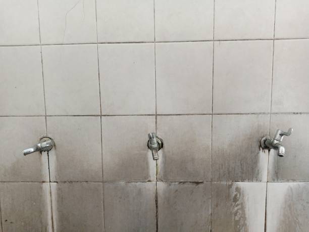 Best 24-hour water damage restoration  in Morris, MN
