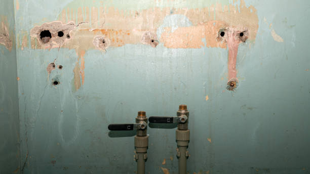 Best Sewage cleanup and water damage restoration  in Morris, MN