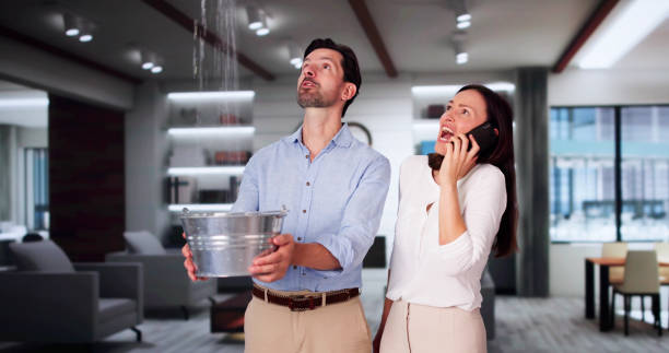 Best Professional water damage repair  in Morris, MN